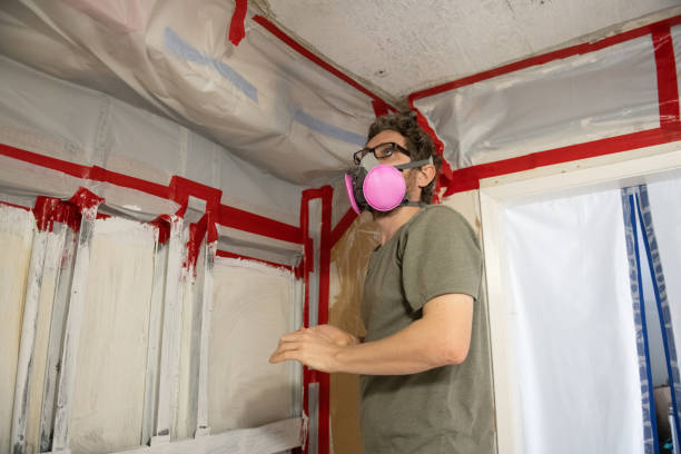 Best Post-Construction Mold Inspection  in Gantt, SC